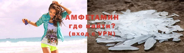 прущие грибы Беломорск