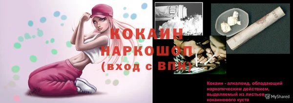 прущие крисы Балахна