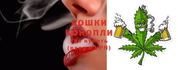 прущие грибы Беломорск